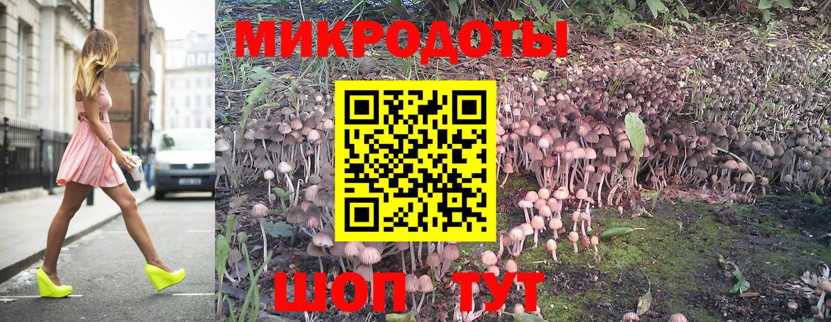 Галлюциногенные грибы MAGIC MUSHROOMS  Вход с VPN  Гусиноозёрск 