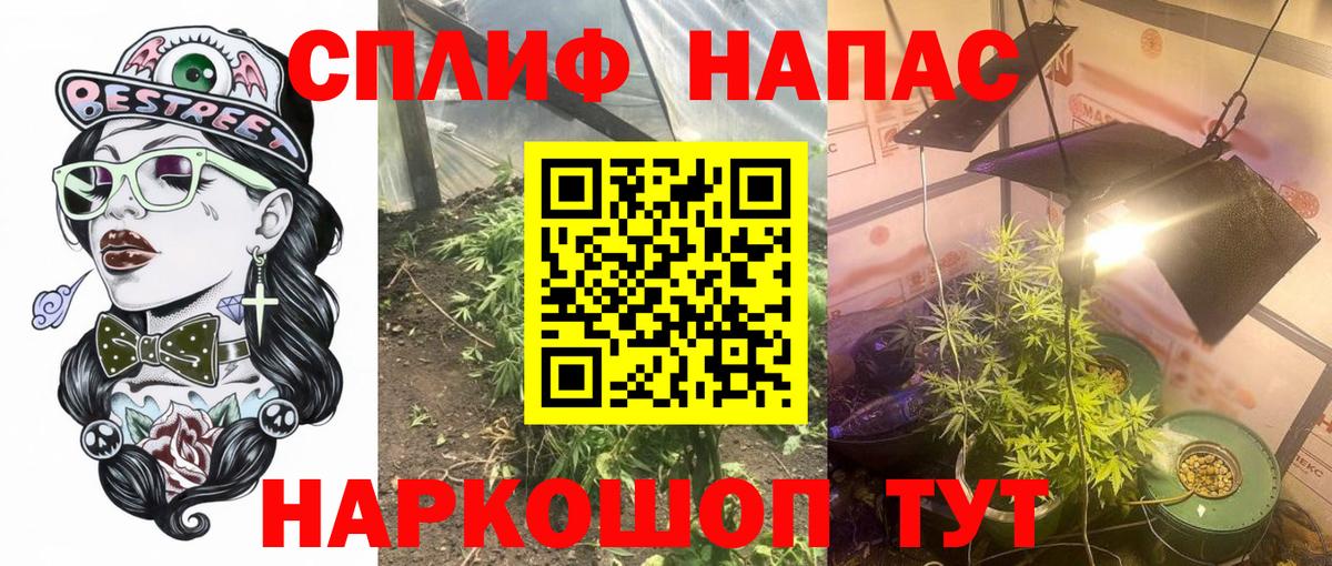 Бошки Шишки гибрид Гусиноозёрск